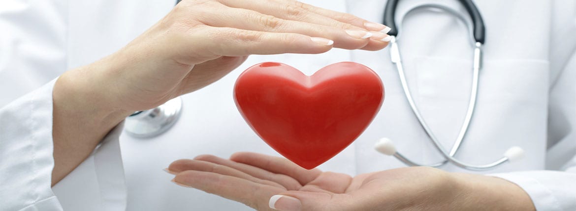 cardio Doctor holding heart