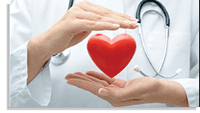 cardiology Doctor holding heart