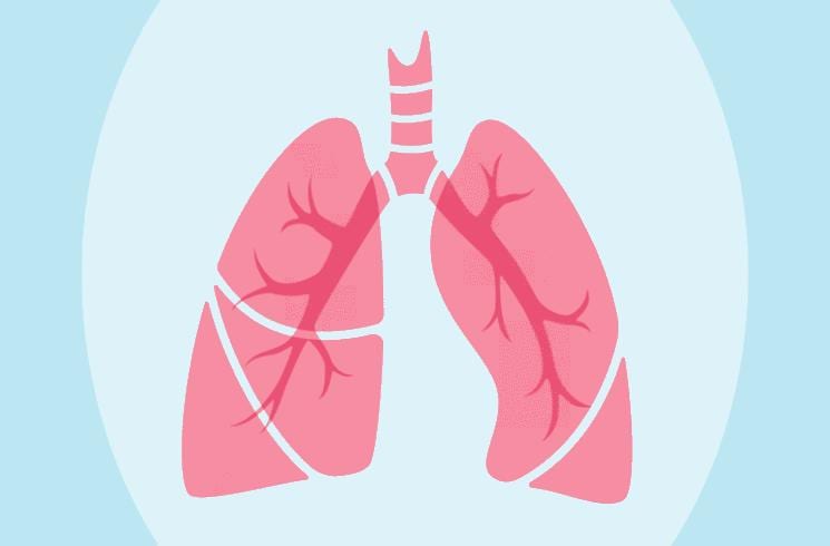 pnevmonologiko illustration of the lungs